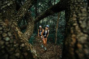 BIB: 
                            <button type="button" onclick="openModal(25668218)" class="btn btn-primary btn-sm float-right btn-popup" data-toggle="modal" data-target=".modal-high-quality">
                        <i class="fas fa-shopping-cart"></i> Add to Cart
                    </button>
                                            <button type="button" onclick="isThisMe(25668218, true)" class="btn btn-success btn-sm float-right btn-popup btn-isme hidden" data-toggle="tooltip" data-placement="bottom" title="นี่คือรูปของคุณใช่ไหม คลิกที่นี่เพื่อเอาเข้าอัลบั้ม">
                        <i class="fas fa-plus"></i> Add to album
                    </button>
                    <button type="button" onclick="isThisMe(25668218, false)" class="btn btn-warning btn-sm float-right btn-popup btn-isnotme hidden">
                        <i class="fas fa-ban"></i> Remove from album
                    </button>